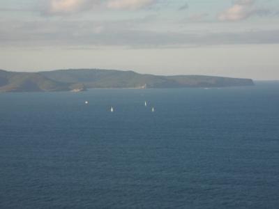 Von hier kann man die Whale sehen so verrueckt